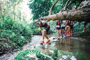 BIB: 
                            <button type="button" onclick="openModal(25464876)" class="btn btn-primary btn-sm float-right btn-popup" data-toggle="modal" data-target=".modal-high-quality">
                        <i class="fas fa-shopping-cart"></i> Add to Cart
                    </button>
                                            <button type="button" onclick="isThisMe(25464876, true)" class="btn btn-success btn-sm float-right btn-popup btn-isme hidden" data-toggle="tooltip" data-placement="bottom" title="นี่คือรูปของคุณใช่ไหม คลิกที่นี่เพื่อเอาเข้าอัลบั้ม">
                        <i class="fas fa-plus"></i> Add to album
                    </button>
                    <button type="button" onclick="isThisMe(25464876, false)" class="btn btn-warning btn-sm float-right btn-popup btn-isnotme hidden">
                        <i class="fas fa-ban"></i> Remove from album
                    </button>